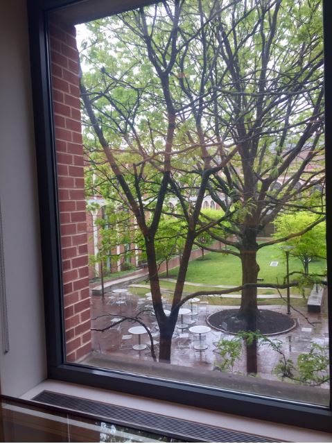 Outdoor courtyard seen from Biddle Law Library window
